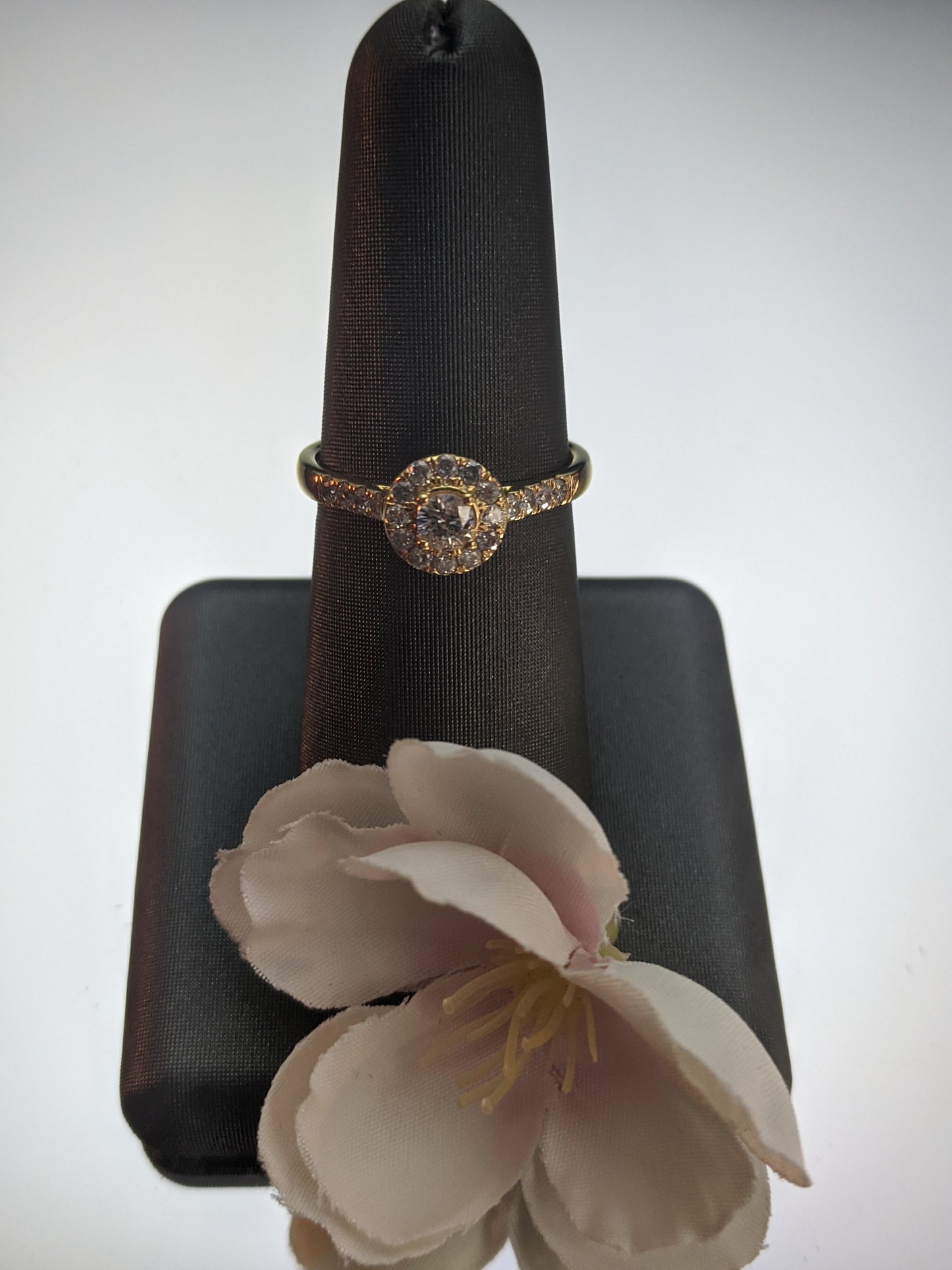 10kt Yellow Gold Halo Style Engagement Ring
